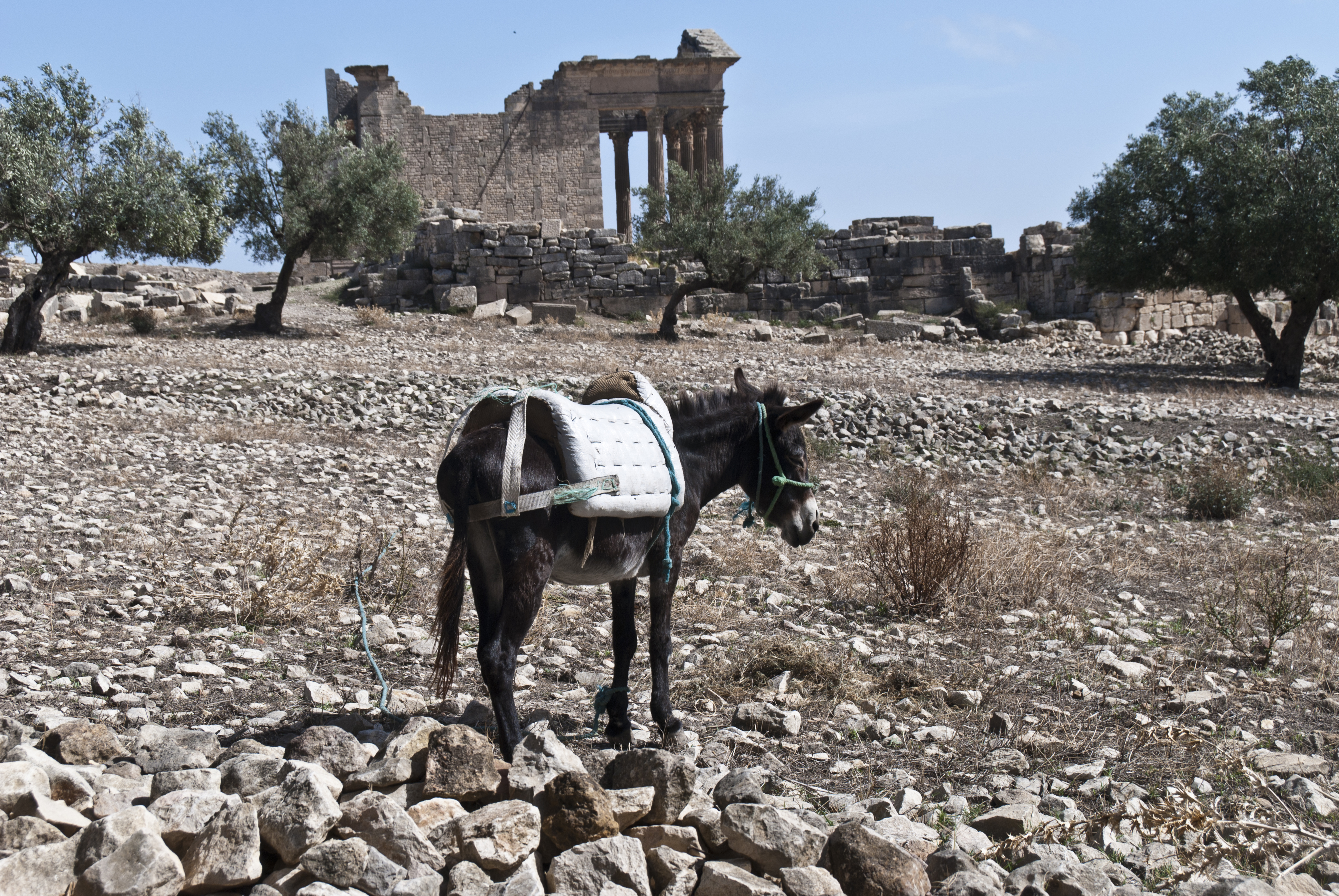 Dougga - römisch archäologische Stätte